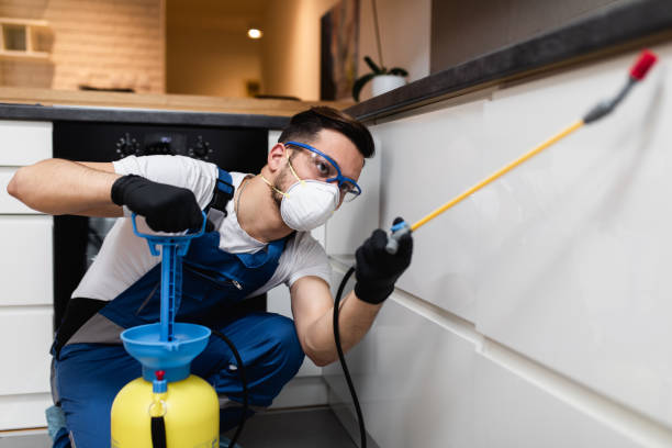Best Pest Inspection Near Me  in Sturgis, MI