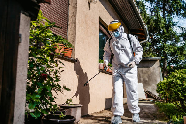 Best Cockroach Control Services  in Sturgis, MI