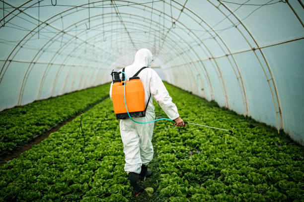 Best Pest Prevention Services  in Sturgis, MI