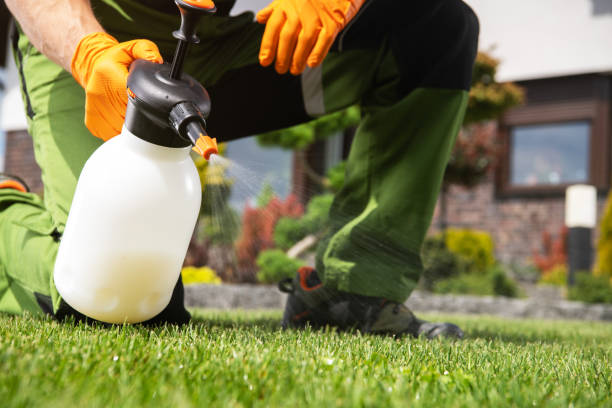 Trusted Sturgis, MI Pest Control Experts