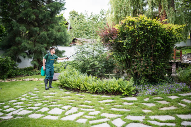 Best Pest Control Treatment  in Sturgis, MI