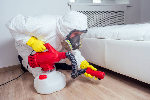 Best Termite Control Services  in Sturgis, MI