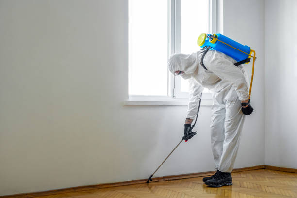 Pest Prevention Services in Sturgis, MI