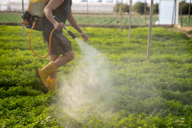 Best Pest Removal Services  in Sturgis, MI