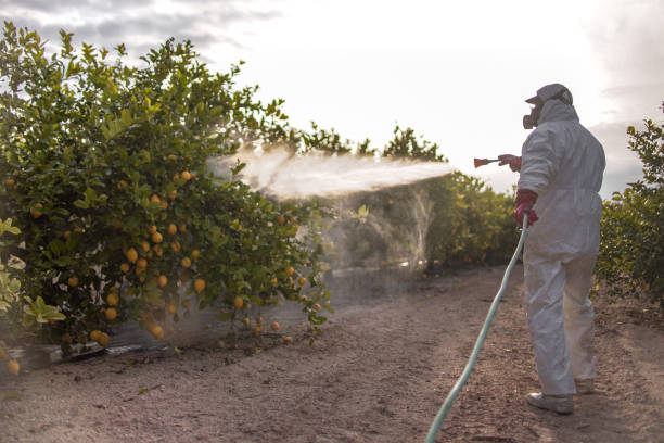 Flea Control Services in Sturgis, MI
