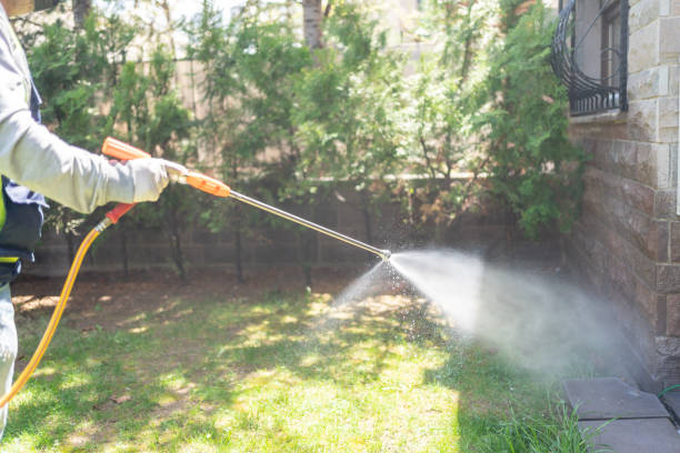 Insect Control in Sturgis, MI