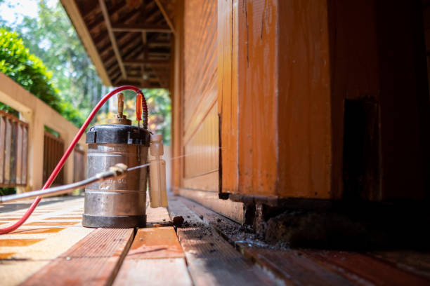 Best Ant Control Services  in Sturgis, MI