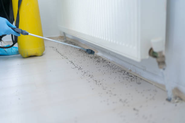 Best Commercial Pest Control Services  in Sturgis, MI