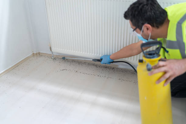 Best Affordable Pest Control Services  in Sturgis, MI