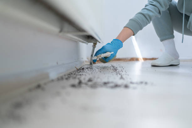 Best Best Pest Control Companies  in Sturgis, MI