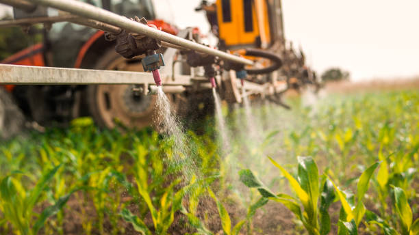 Best Pest Prevention Services  in Sturgis, MI